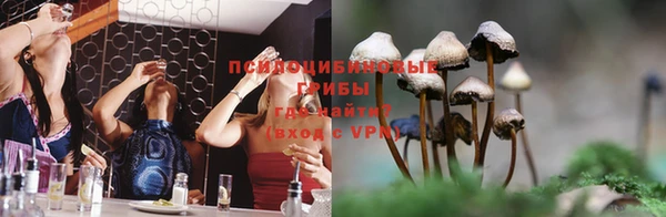 меф Вяземский
