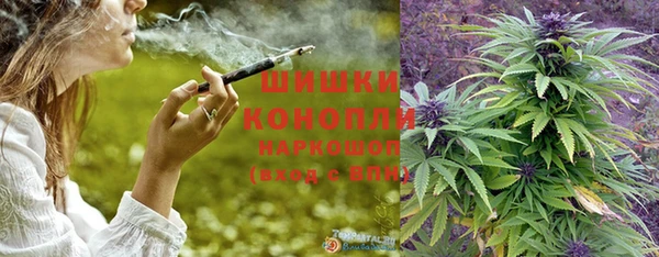 соль ск Семилуки
