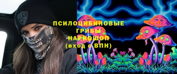 дурь Вязьма