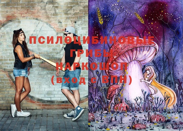 меф Вяземский
